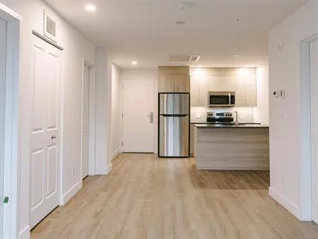 1 room apartment of 128m² in Montreal