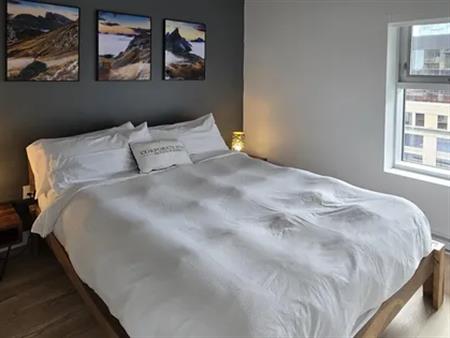 1 room apartment of 158m² in Montreal