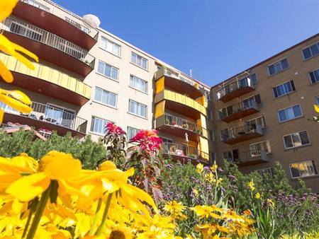 4 1/2 SILLERY PLAZA - PROMENADE CHAMPLAIN- libre ou novembre