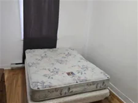 1 room of 24m² in Montreal