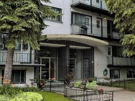 Studio 1 1/2 à louer