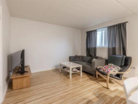 Appartement 3 ½ à louer Limoilou octobre 2025