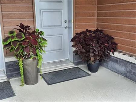 4 rooms apartment of 113m² in Sherbrooke