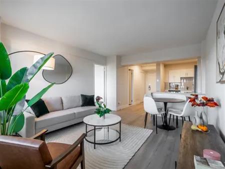1 room apartment of 64m² in Montreal