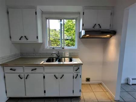 4 rooms apartment of 91m² in Sherbrooke
