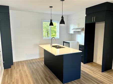4 rooms apartment of 91m² in Sherbrooke