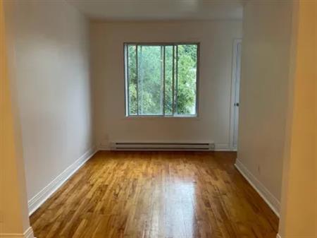 1 room apartment of 55m² in Montreal