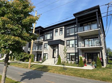 Appartement luxueux et lumineux 4 1/2 + et 5 1/2