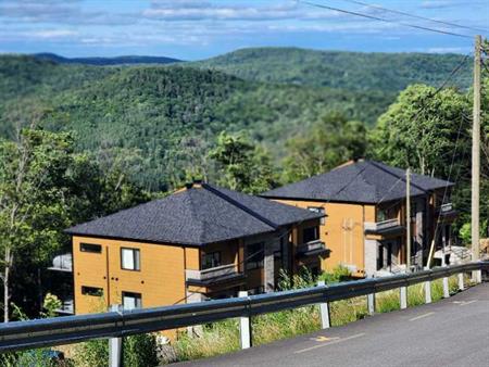 Magnifique 4 et demi en Montagne