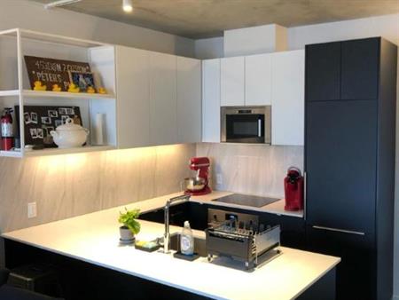 3 1/2 - Montréal (Ville-Marie (Centre-ville)) - 1 700 $/mois