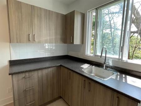 4-1/2 insonorisé libre maintenant chien accepté