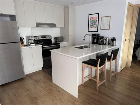 Bail à céder – 4 ½ moderne avec 2 chambres et 2 salles de bain – près du Parc Jarry