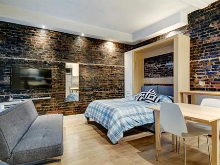 Loft entièrement meublé à louer Saint-Jean-Baptiste octobre 2025