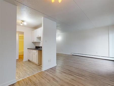 4 ½ LIBRE IMMÉDIATEMENT OU LE 1ER NOVEMBRE