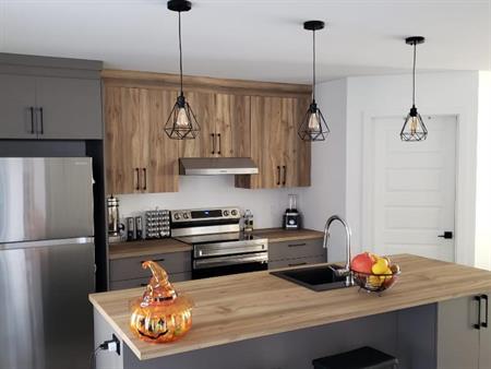 Appart, style CONDO, avec garage à louer 3R