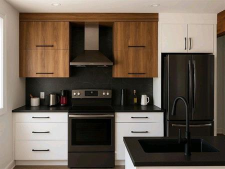 4.5 Ss-sol 3plex 2 Chambres (13×10 +8×8) Libre 27 oct Magnifique 4.5 au rez de jardin rénové, dans 3plex au coeur du Vieux-Lo