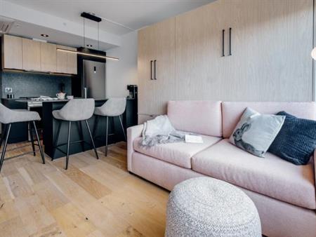 Loft entièrement meublé à louer Saint-Jean-Baptiste janvier 2026