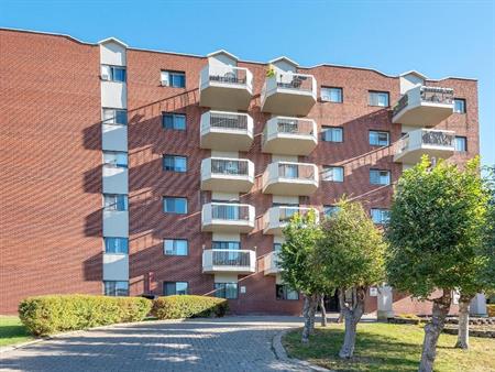 3 1/2 FRAIS PEINT SAINT-LAMBERT (IMMEUBLE BÉTON)