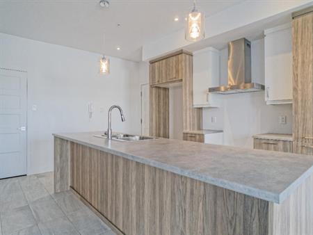 MAGNIFIQUE 4 1/2 - LIBRE 1er DÉCEMBRE - ASCENSEUR