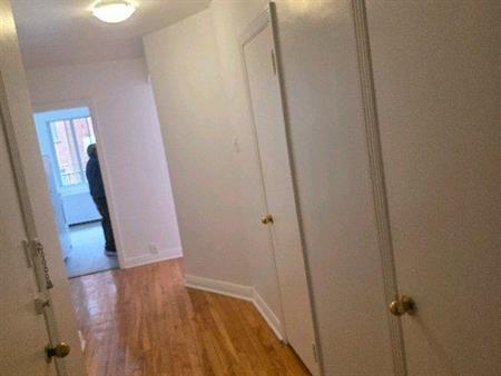 3 1/2 ensoleillé, près de l'université etc.