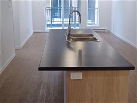 5 1/2 VUE SUR LE LAC CHAMPLAIN - LIBRE IMMÉDIATEMENT