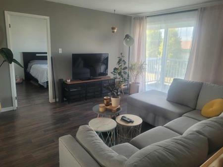 4 1/2 - Saint-Jean-Chrysostome - 965 $/mois