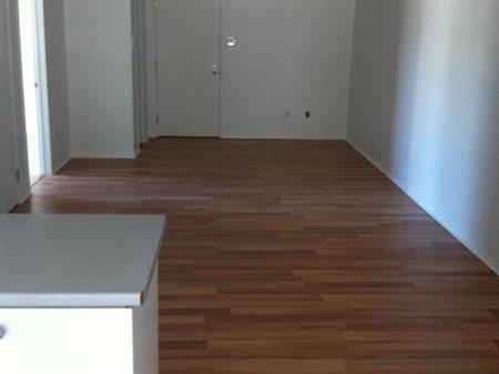 Grand 4 1/2 impeccable 1er étage à louer