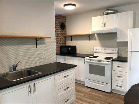 Studio semi-meublé Lévis - Disponible janvier 2026