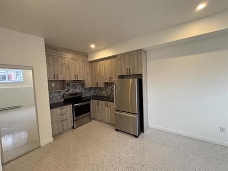 1 1/2 - Montréal (Saint-Henri) - 1 025 $/mois