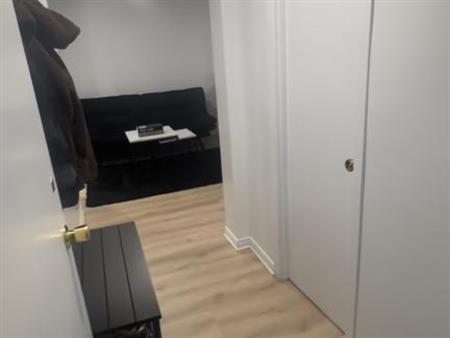 Appartement 1 grande chambre a louer a Lachine