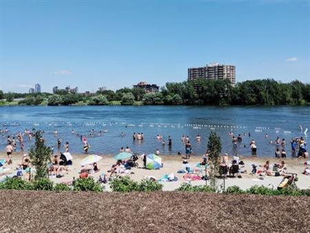 5 1/2 - Montréal (Verdun) - 1 785 $/mois