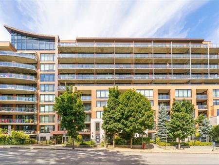 Magnifique Condo en face des plaines
