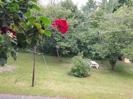 Perle Rare à Saint Lambert - Grand 3 1/2 Renové, entouré d'arbres et près du Village