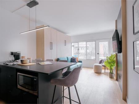 Loft entièrement meublé à louer Saint-Jean-Baptiste juillet 2026