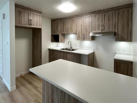 Beau grand 5 1/2 entièrement rénové