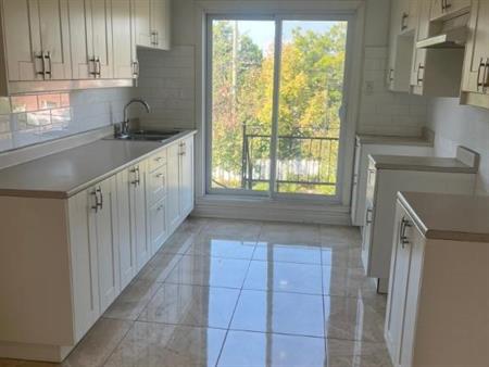 4 1/2 NOUVEAU ROSEMONT- LIBRE IMMÉDIAT