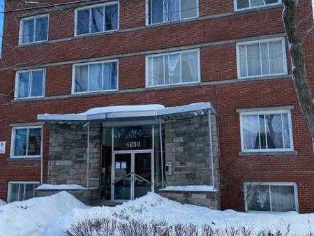 Newly Renovated Three Bedroom Apartment for Rent!