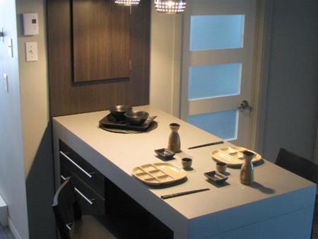 3,5 Beau frais peinturé et meublé de A a Z terrasse sur le toit