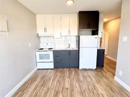 1 CH - 1 SDB - Montréal - $1,300 /mo