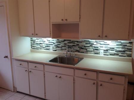 4 1/2 - Montréal (Rosemont) - 1 400 $/mois