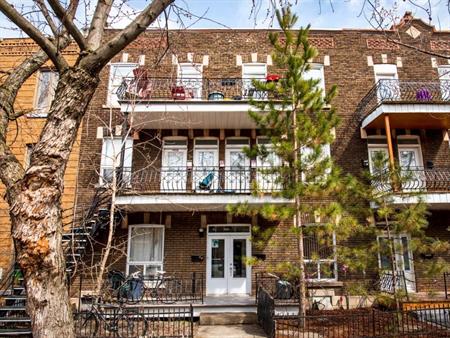 Très grand 4 et 1/2 au Plateau Mont Royal