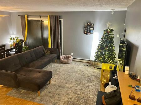 grand 4 1/2 près du métro Montmorency